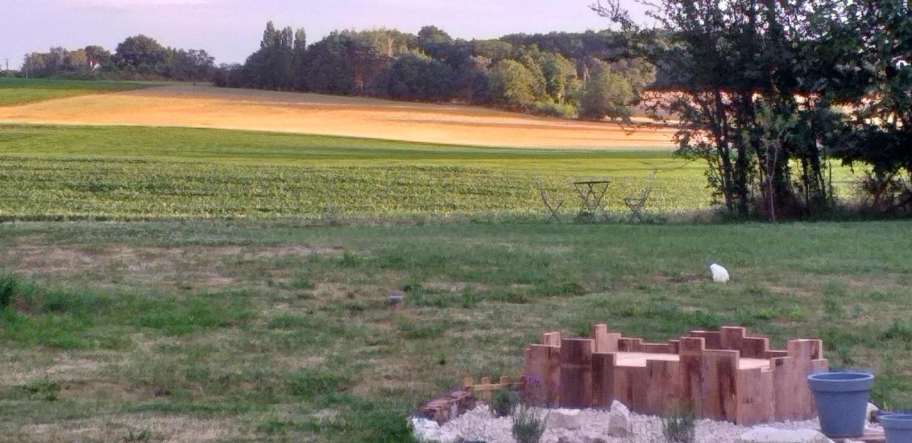 La Berrycurienne Proche Du Zoo De Beauval Saint-Aignan Avec Sdb, Wc Et Spa Privatif Pour Chaque Chambre Luçay-le-Mâle Kültér fotó